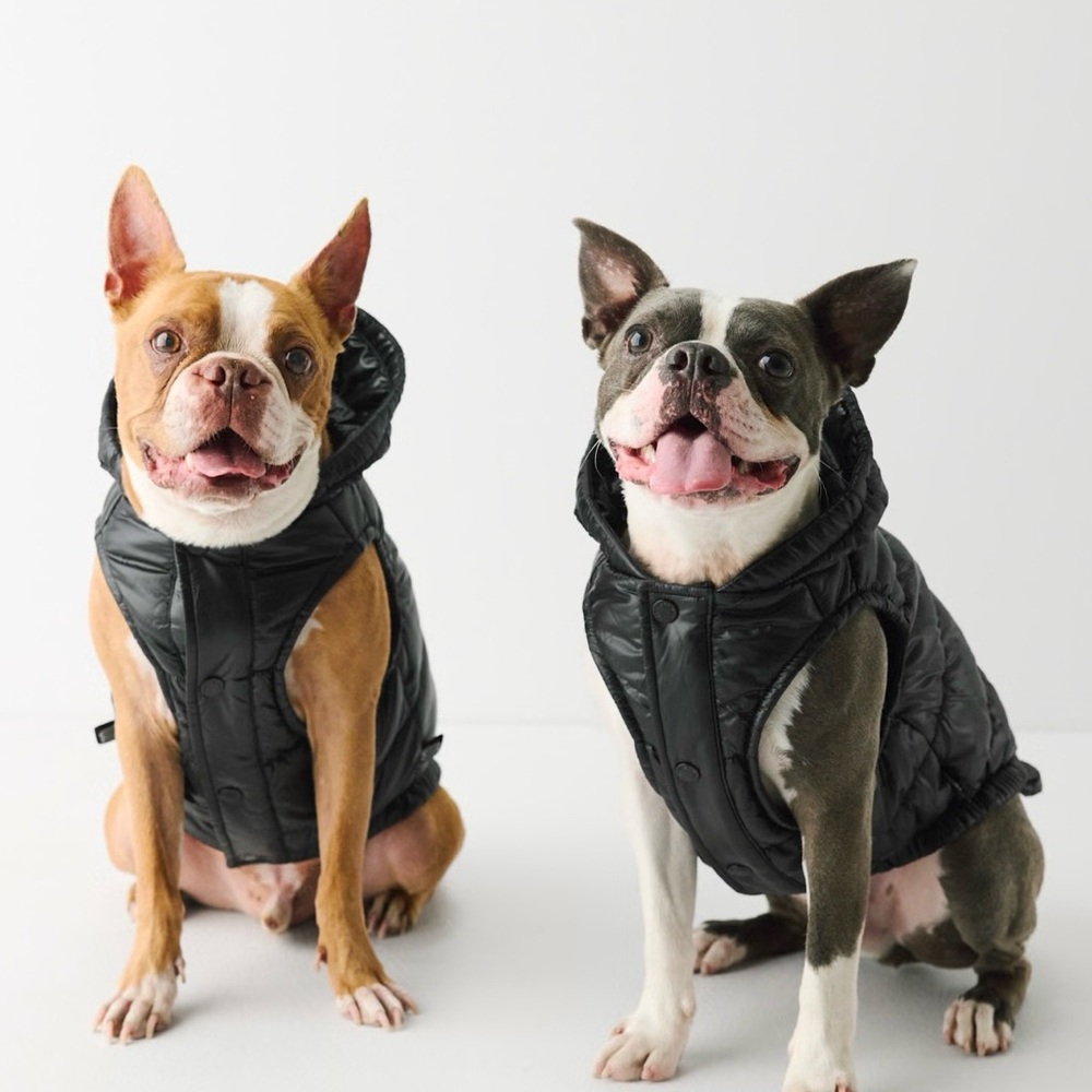 Aritzia Super Ruff Puff Dog Vest